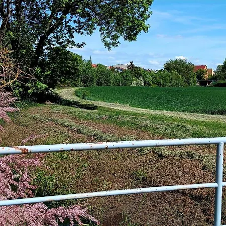 Apartman Am Grossen Bruch *