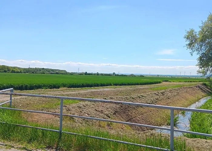 Am Grossen Bruch * Oschersleben