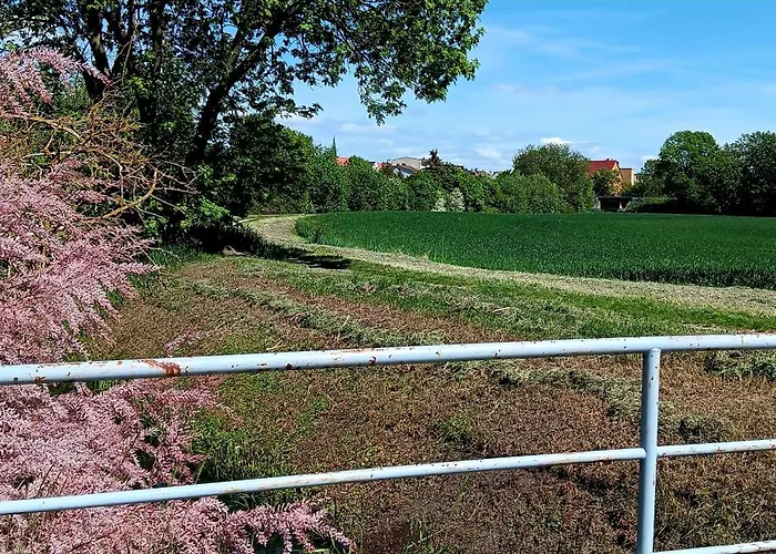 Apartman Am Grossen Bruch *